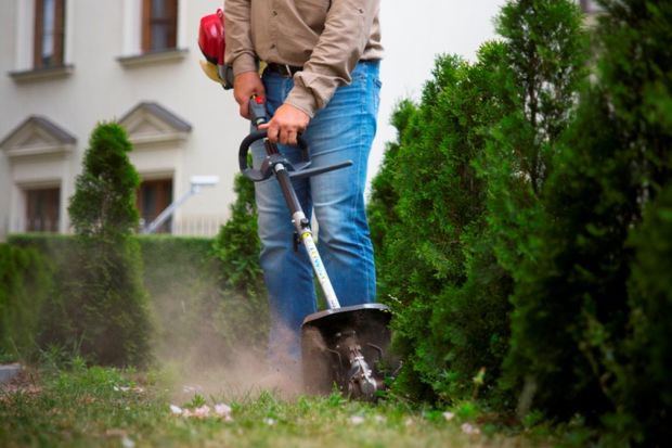 Jesień w ogrodzie to pora intensywnych przygotowań do zamknięcia sezonu z jednoczesnym planowaniem upraw, aranżacji zieleni na wiosnę i lato. W tym roku, po ostatnich deszczowych i chłodnawych miesiącach, warto między innymi zadbać o dokładne sp