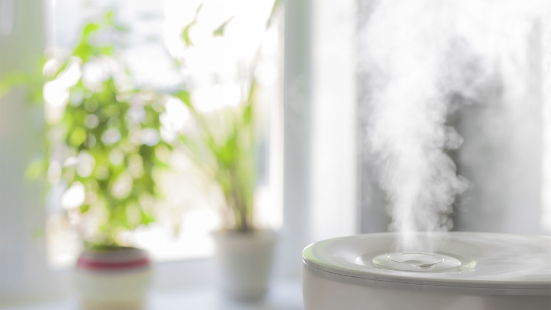 Zbyt suche powietrze w mieszkaniu? Jest na to sposób