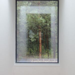 Niezwykły efekt tworzą od wewnątrz okna: są ramami dla leśnych obrazów wokół domu. Fot. zw A