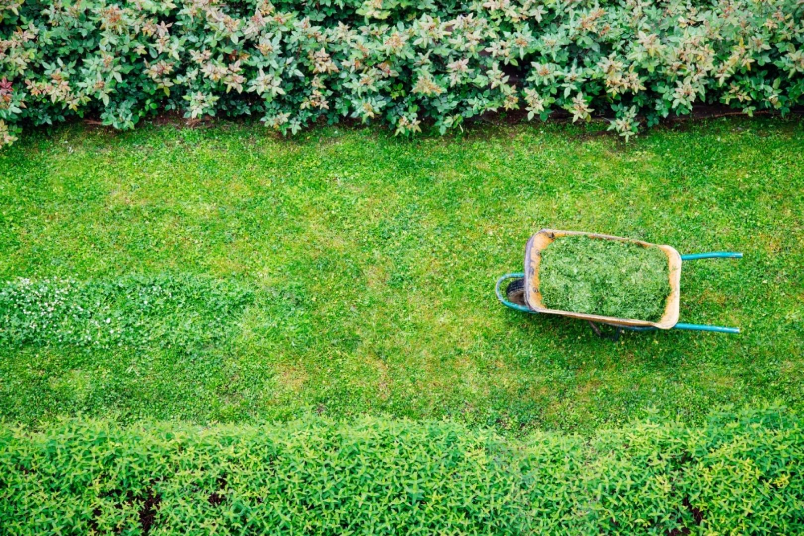 Odpowiednio wypielęgnowany trawnik jest wizytówką domu i ogrodu. Fot. Krysiak