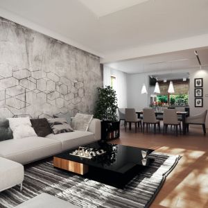W salonie na uwagę zasługuje ściana za kanapa wykończona modnym szarym betonem. Naddaje to wnętrzu wyjątkowego charakteru. Fot. Archetyp