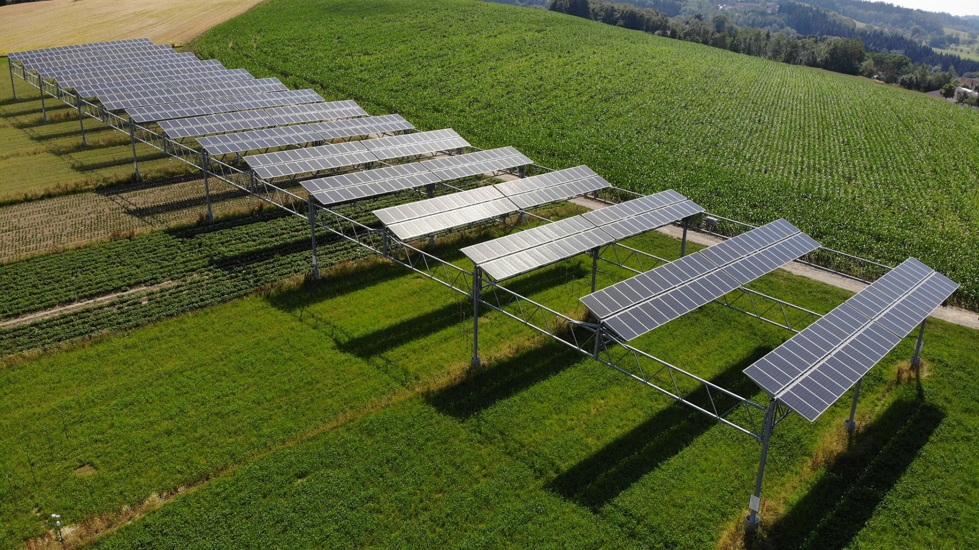W 2018 r. promieniowanie słoneczne wyniosło 1319,7 kilowatogodzin na mkw., co stanowi wzrost o 8,4 procent w porównaniu z rokiem poprzednim. Wydajność energetyczna układu APV wzrosła o dwa procent do 249,857 kWh, co odpowiada wyjątkowo dobrej wartości wydajności jednostkowej 1285,3 kWh/kWp. Fot. BayWa r.e.