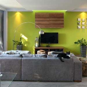 Soczyste barwy w salonie dodają mieszkańcom codziennej dawki energii. W salonie postawiono także sofę w najmodniejszym kolorze - szarym. Projekt: Arkadiusz Grzędzicki. Fot. Bartosz Jarosz