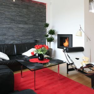Skórzana sofa jest elegancka, dobrze prezentuje się w nowoczesnych stylizacjach z kominkiem. Projekt Michał Mikołajczak. Fot. Bartosz Jarosz