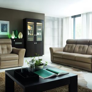 Sofa Butterfly ma delikatne kształty i doskonale pasuje do salonów urządzonych w klasycznym stylu. Fot. Bydgoskie Meble