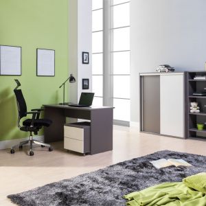 System Zonda pozwala stworzyć nowoczesne biuro lub też oryginalny pokój młodzieżowy. Fot. Maridex