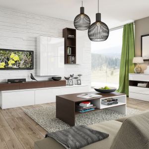 System Loft to modne połączenie dekoru drewna oraz bieli na wysoki połysk. Wszystko w nowoczesnym stylu, który doskonale pasuje do wnętrz w loftowym klimacie. Fot. Szynaka Meble  