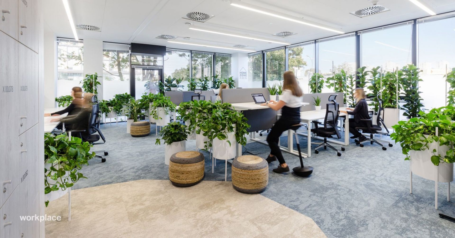 Biuro firmy Nordea zostało zaprojektowane zgodnie z zasadami Biophilic Design. Fot. Workplace Solutions