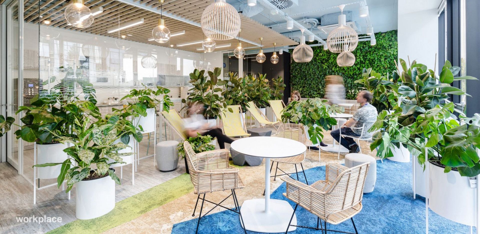 Biuro firmy Nordea zostało zaprojektowane zgodnie z zasadami Biophilic Design. Fot. Workplace Solutions