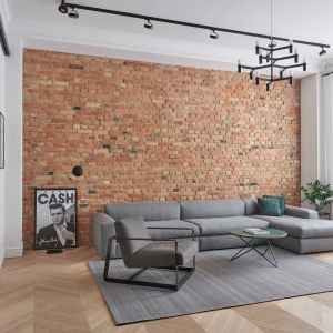 Szarość pasuje do stylu loftowego - sofa doskonale prezentuje się na tle ceglanej ściany. Realizacja Zendesign/Studio Forma 96