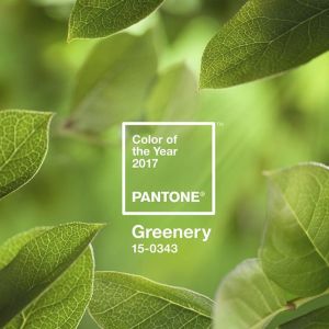 Instytut Pantone okrzyknął kolorem roku 2017 soczystą zieleń Greenery. Fot. Pantone