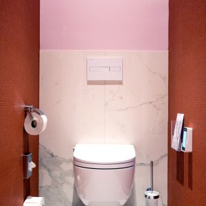 Toaleta myjąca Cleanet Riva. Fot. Laufen
