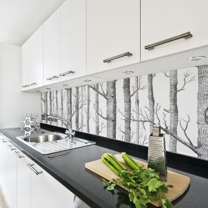 Czarno-biała fototapeta nad blat w kuchni z motywem brzozowego lasu. Fot. Walldeco. 