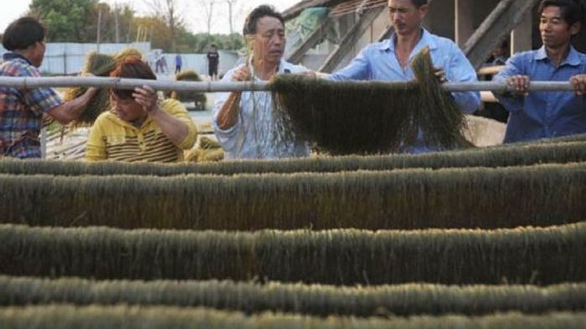 Cement, włosy, chemikalia – tak Chińczycy podrabiają jedzenie