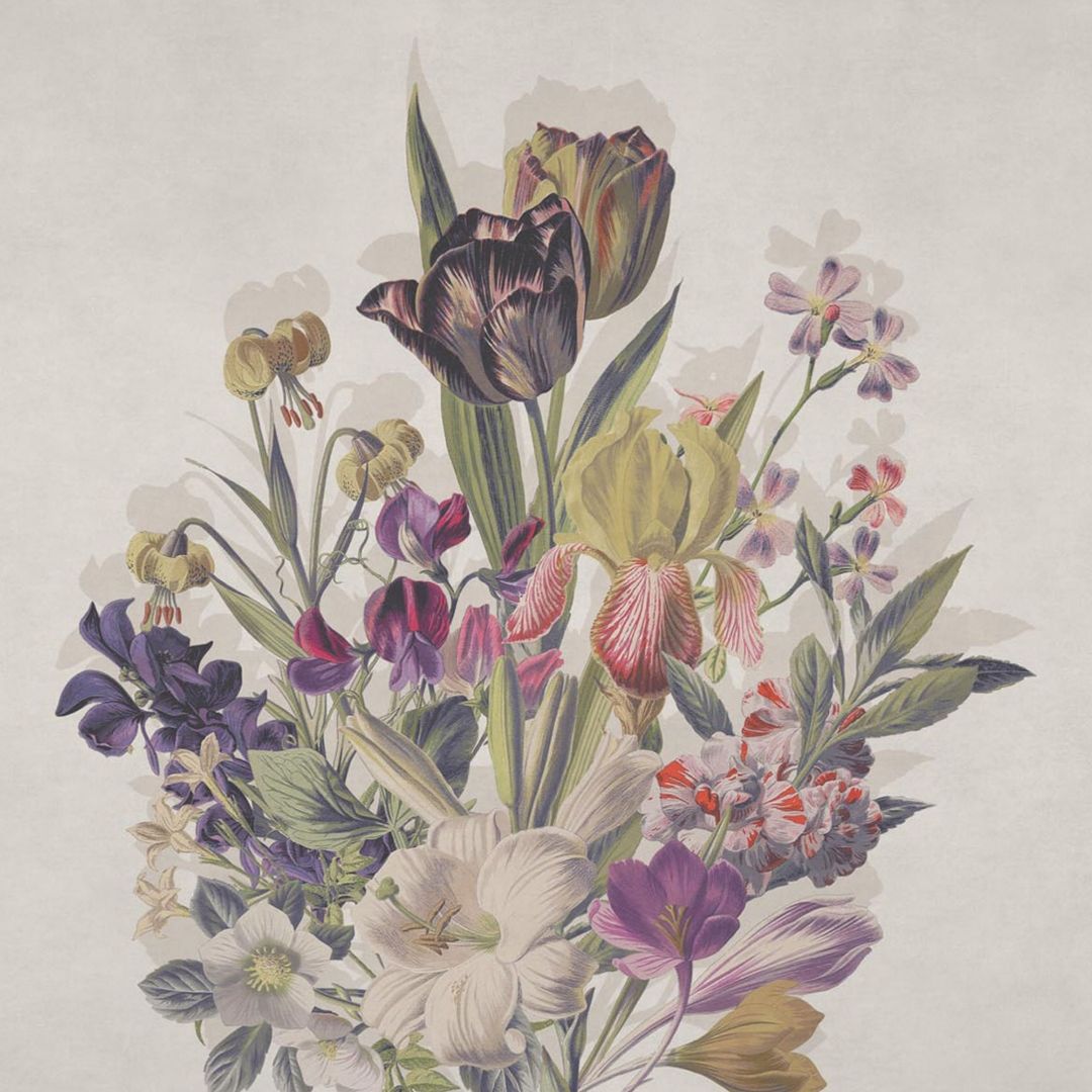 Blooming Marvellous - Bloom - Newmor Wallcoverings