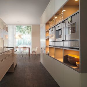 10 pomysłów na wyposażenie szafek w kuchni. Fot. Amix