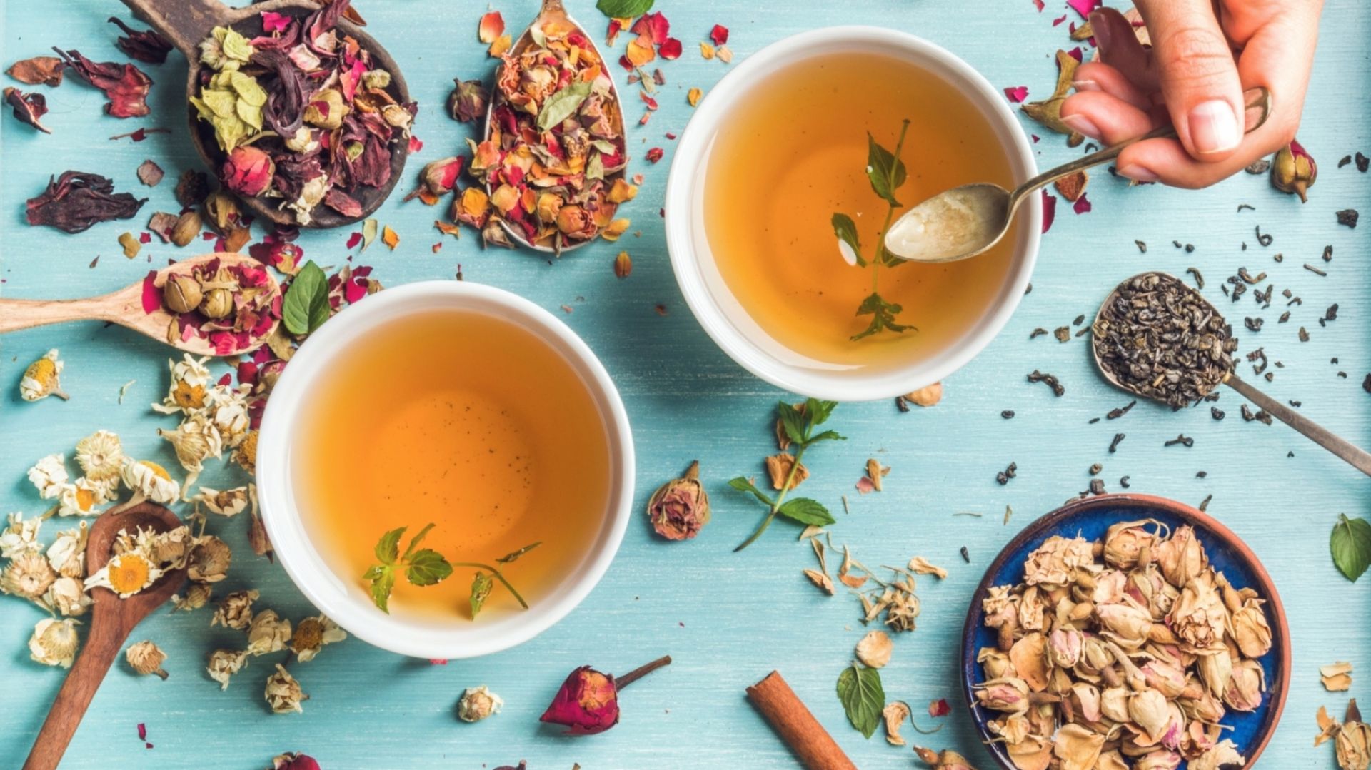 Herbata źródłem pozytywnej energii fot. English Tea Shop Polska
