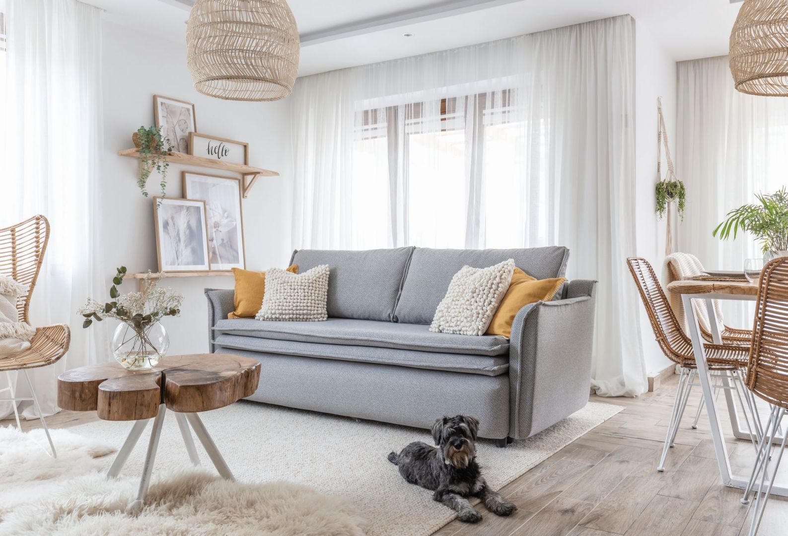 Sofa Charming Charlie - nowość 2020 od polskiej marki Miuform