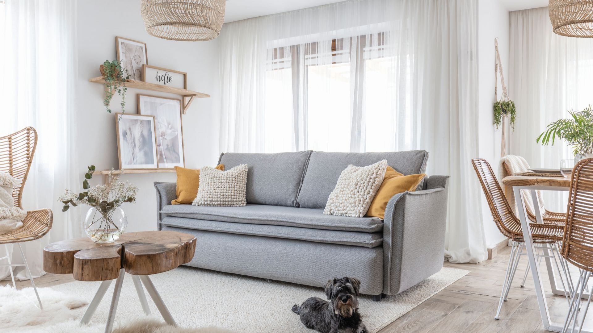 Sofa Charming Charlie - nowość 2020 od polskiej marki Miuform