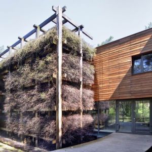 Konstrukcja z gałęzi tarniny sprawia, że dom jest mocno osadzony w naturze i przyrodzie, zmienia się wraz z porami roku. Projekt i zdjęcia: Kulczynski Architekt