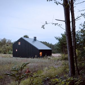 Sporą część działki porastały drzewa, więc bryła przybrała zwarty kształt. Projekt i zdjęcia: architekt Grzegorz Layer