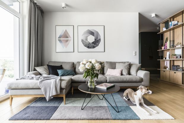 Szara sofa w salonie. 15 pięknych zdjęć