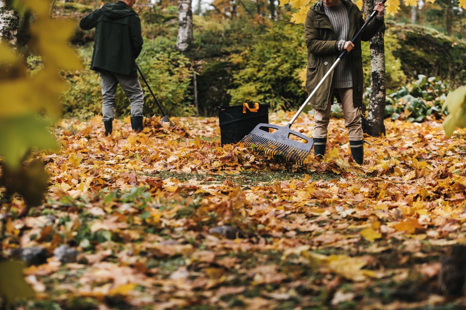 W pracy na dużej powierzchni idealnie sprawdzą się nowe grabie XactTM XXL oraz L, z wyjątkowo szeroką głowicą. Cena: od ok. 95 zł do ok. 120 zł. Fot. Fiskars