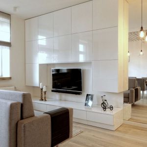 Przestrzeń niedużego salonu wyznacza kanapa oraz minimalistyczna zabudowa ściany za telewizorem. Obok, w lustrze odbija się zabudowa kuchni. Projekt i zdjęcia: ewem Aranżacja wnętrz Edyta Wełnicka