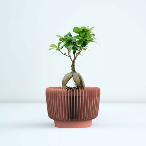 Innowacyjne oddychające doniczki Oxy to projekt duetu Kabo&Pydo. Do tej pory otrzymał już m.in nagrodę Red Dot i IF Design Award. Fot. Opeko