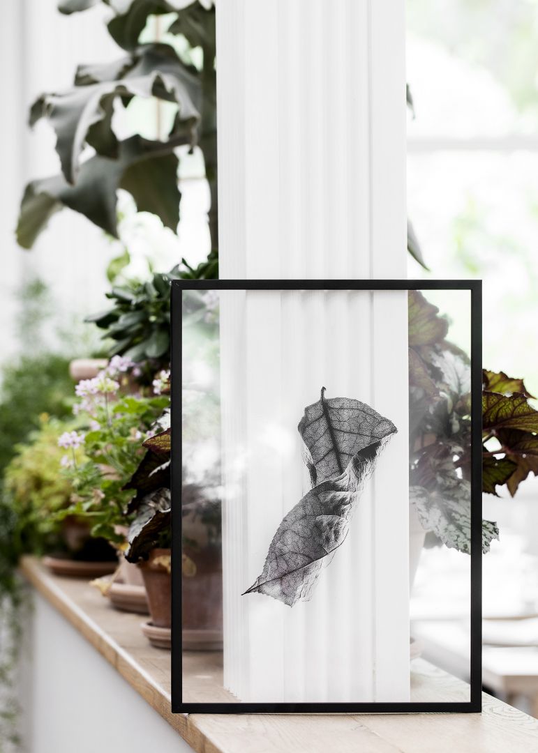 Dekoracje Floating Leaves skandynawskiej marki Moebe dostępne są w Polsce. Kupisz je np. w sklepie Designzoo.pl. Kosztują ok. 127 zł za jedną ramkę. Fot. Moebe
