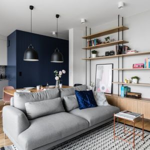W małym salonie w bloku sprawdzi się lekka sofam najlepiej  na nóżkach i w neutralnym kolorze. Projekt: Raca Architekci. Zdjęcia: Fotomohito