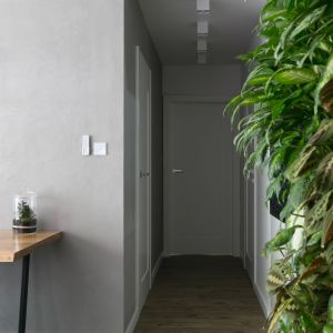 Zielona ściana to największa ozdoba wnętrza. Projekt wnętrza: Paulina Zwolak i Jakub Nieć z pracowni Projektyw. Zdjęcia: Jakub Dziedzic