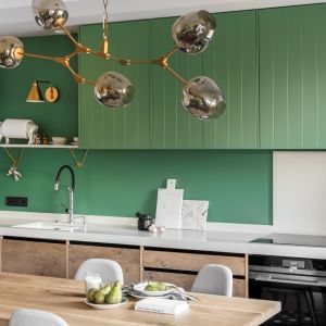 Zielony kolor w kuchni. Projekt: Finchstudio. Fot. Aleksandra Dermont Ayuko Studio