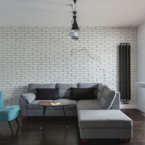 Ścianę w salonie wykończono cegłą w białym kolorze. Projekt i zdjęcia: MAFGROUP