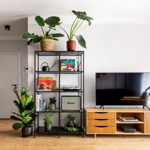 Rośliny w salonie - najlepszy pomysł na modną i zawsze na czasie aranżację. Projekt: Maria Nielubszyc, pracownia PURA design. Zdjęcia: Jakub Nanowski