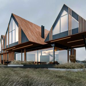 Re:Brrrda House. Projekt Marcina Tomaszewskiego z pracowni Reform Architekt