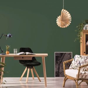 Ściana w salonie w kolorze zgaszonej zieleni. Na zdjęciu farba Beckers Designer Collection, kolor Herbarium. Fot. Beckers