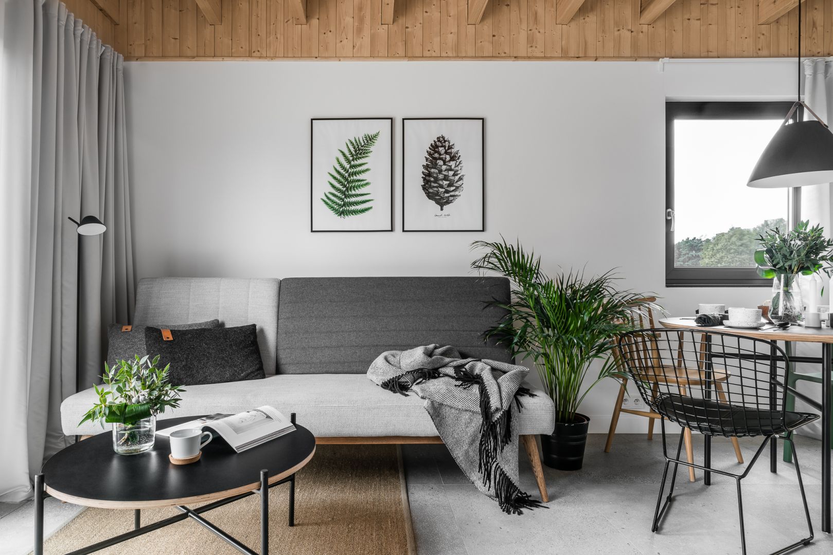 Rośliny doniczkowe w minimalistycznym szarym salonie. Piękna palma będzie świetną ozdobą każdego wnętrza! Projekt: Raca Architekci. Fot. Fotomohito