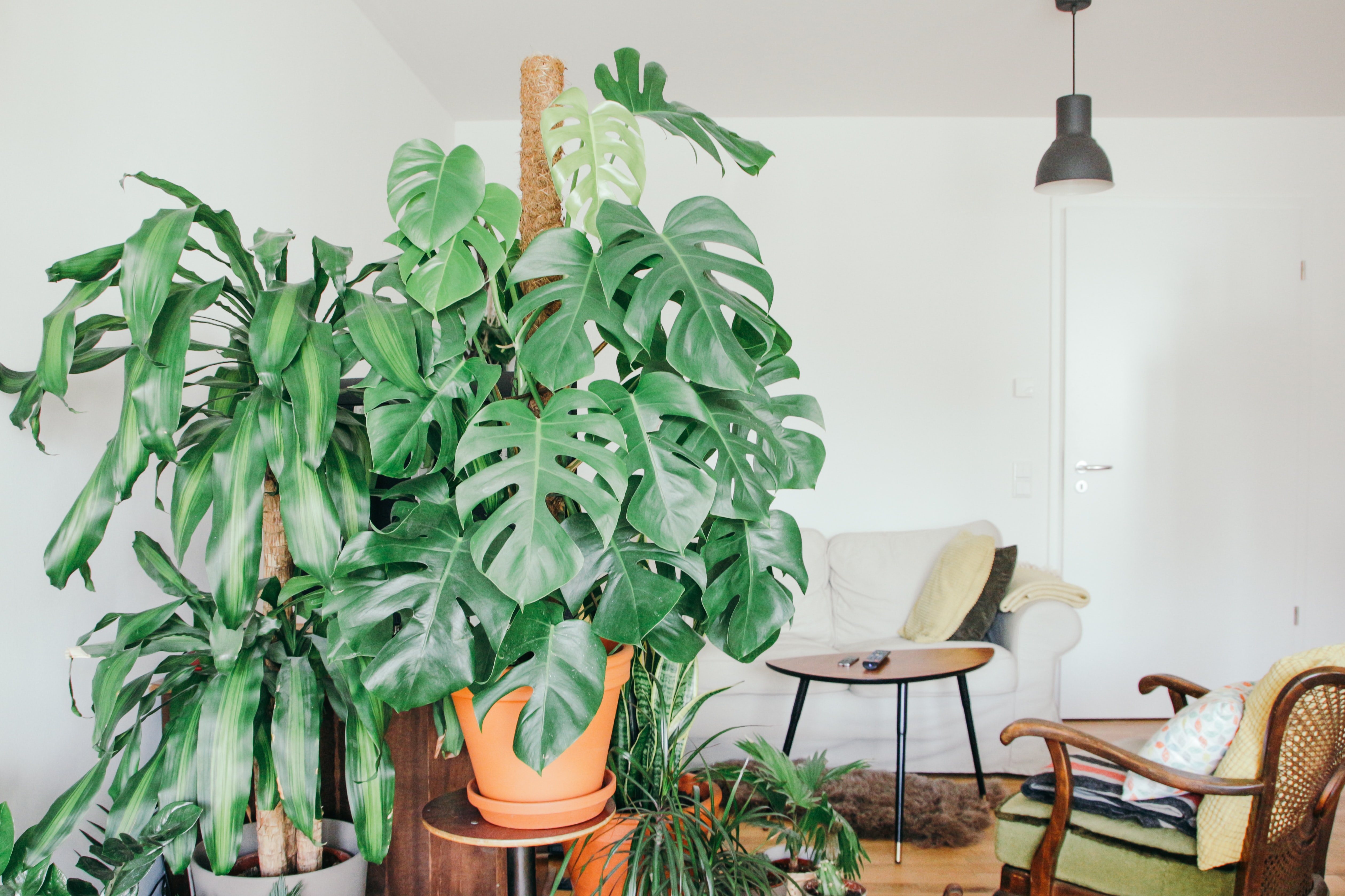 Fot. Unsplash.com