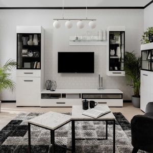 Meble do salonu: kolekcja Assen - prosta stylistyka mebli sprawdzi się w nowoczesnym salonie. Producent: Black Red White
