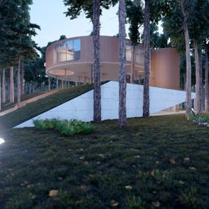 Dom Tree House. Projekt Przemek Olczyk Mobius Architekci