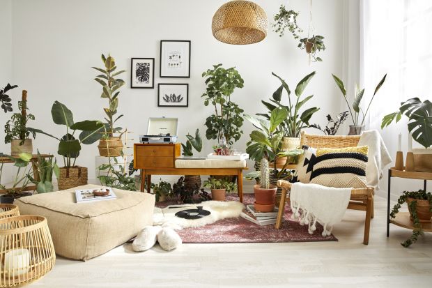 Trendy 2021: meble i dekoracje w stylu natural boho