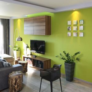 Soczyście zielona ściana w salonie to mocny akcent i źródło pozytywnej energii wnętrza. Projekt: Arkadiusz Grzędzicki. Fot. Bartosz Jarosz
