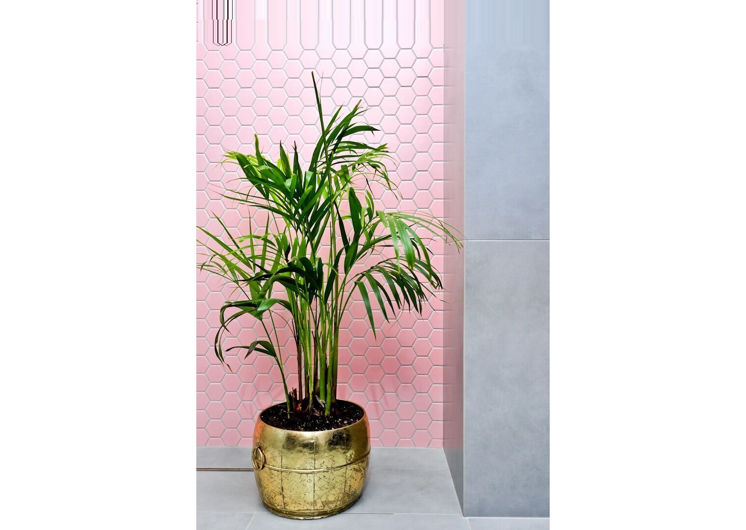 Fot. Raw Decor