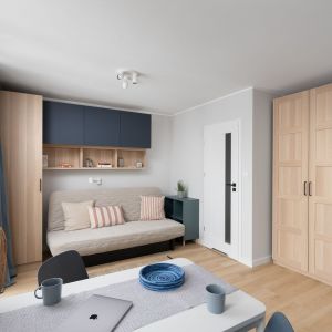 Część wypoczynkowa z rozkładaną do spania kanapą. Projekt wnętrza, stylizacja: Ola Dąbrówka, pracownia Good Vibes Interiors. Zdjęcia: Mikołaj Dąbrowski