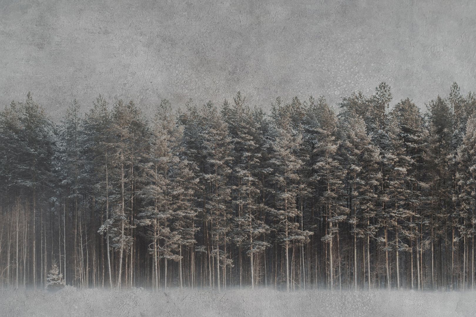 Tapeta Instabilelab black forest