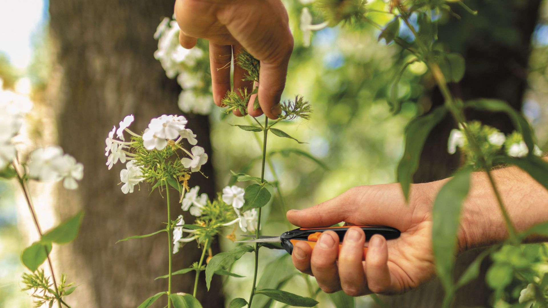 Kwiaty z własnego ogrodu. Te narzędzia ułatwią ci prace w ogrodzie!