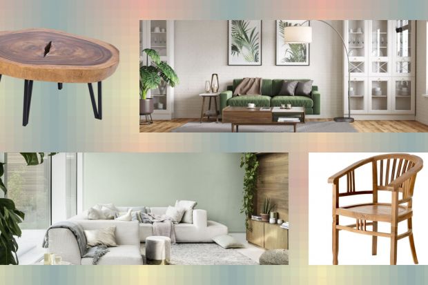 Trendy 2021: natura w salonie. To jest modne!