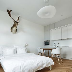 Mieszkanie o powierzchni 27 m2 zostało utrzymane w konwencji przytulnego minimalizmu. Projekt Karol Ciepliński, Blackhaus. Fot. Bartłomiej Senkowski