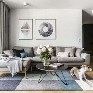 Chłodna kolorystyka w skandynawskim stylu - pomysł do klasycznego salonu. Projekt Raca Architekci. Fot. Fotomohito